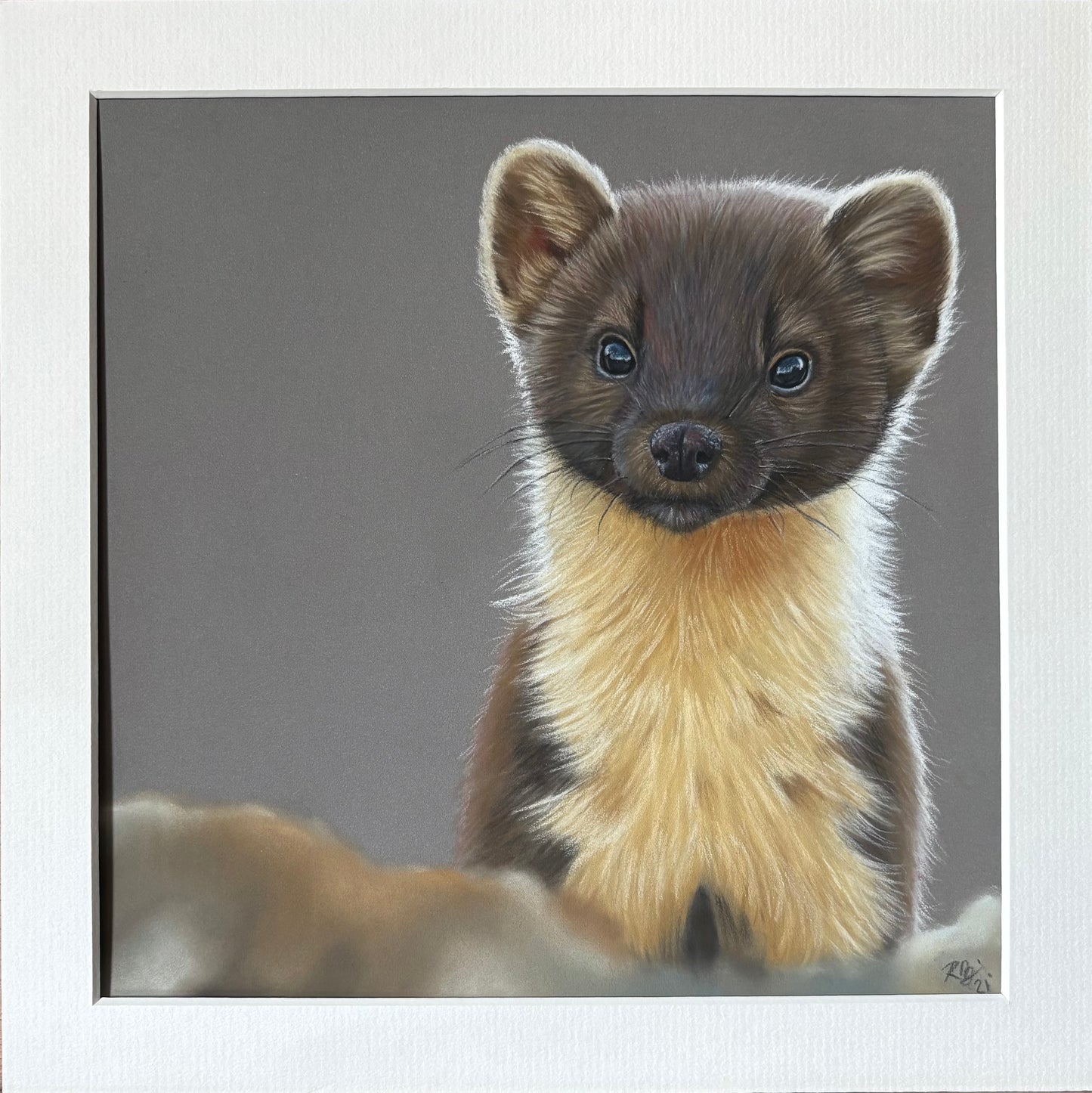 Pine Marten (unframed)