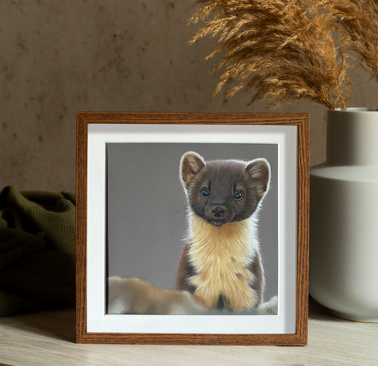 Pine Marten (unframed)